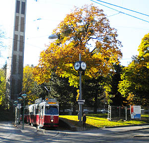 Linie 41, P&ouml;tzleinsdorf;